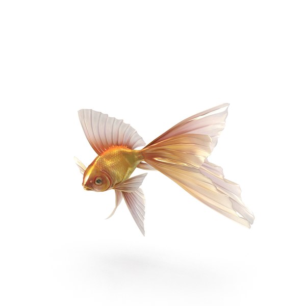 fish gold fantasy model