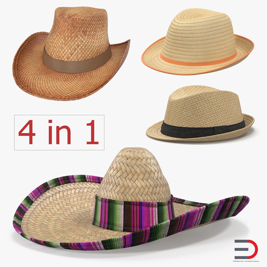 Straw Hats 3D Models Collection 3D model preview