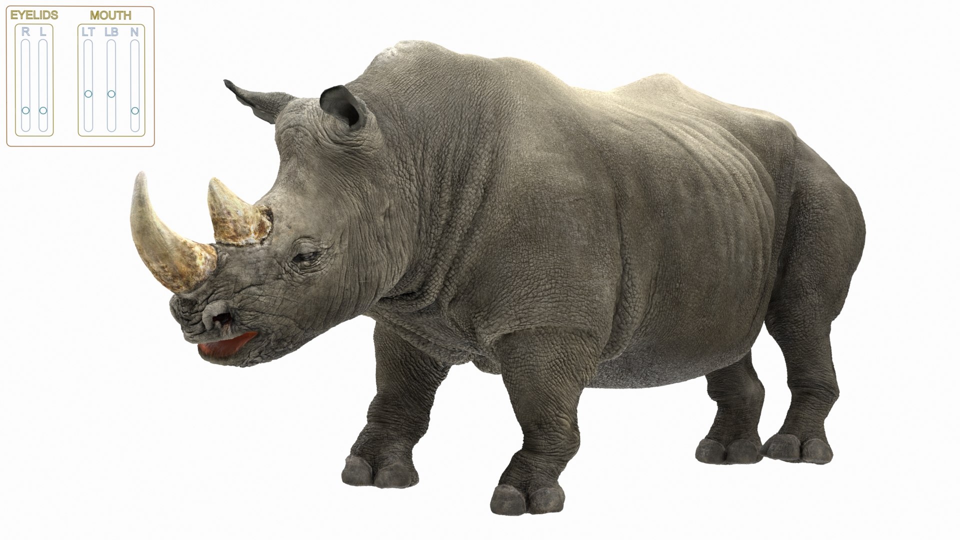 Rigged African Animals Collection 9 3D https://p.turbosquid.com/ts-thumb/jN/u6khqs/3C/riggedafricananimalscollection93dsmodel034/jpg/1619581846/1920x1080/fit_q87/702473253c609e7a18a699e6a41c4d835e8b9a88/riggedafricananimalscollection93dsmodel034.jpg