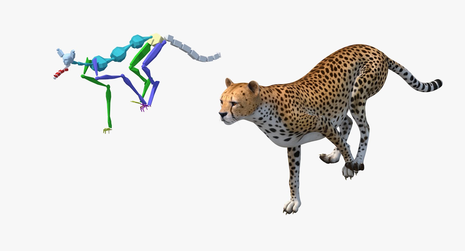 Rigged African Animals Collection 9 3D https://p.turbosquid.com/ts-thumb/jN/u6khqs/9j/riggedafricananimalscollection93dsmodel101/jpg/1619582172/1920x1080/fit_q87/6eee25c2688a38f7ac7c819dde52221f309e1521/riggedafricananimalscollection93dsmodel101.jpg