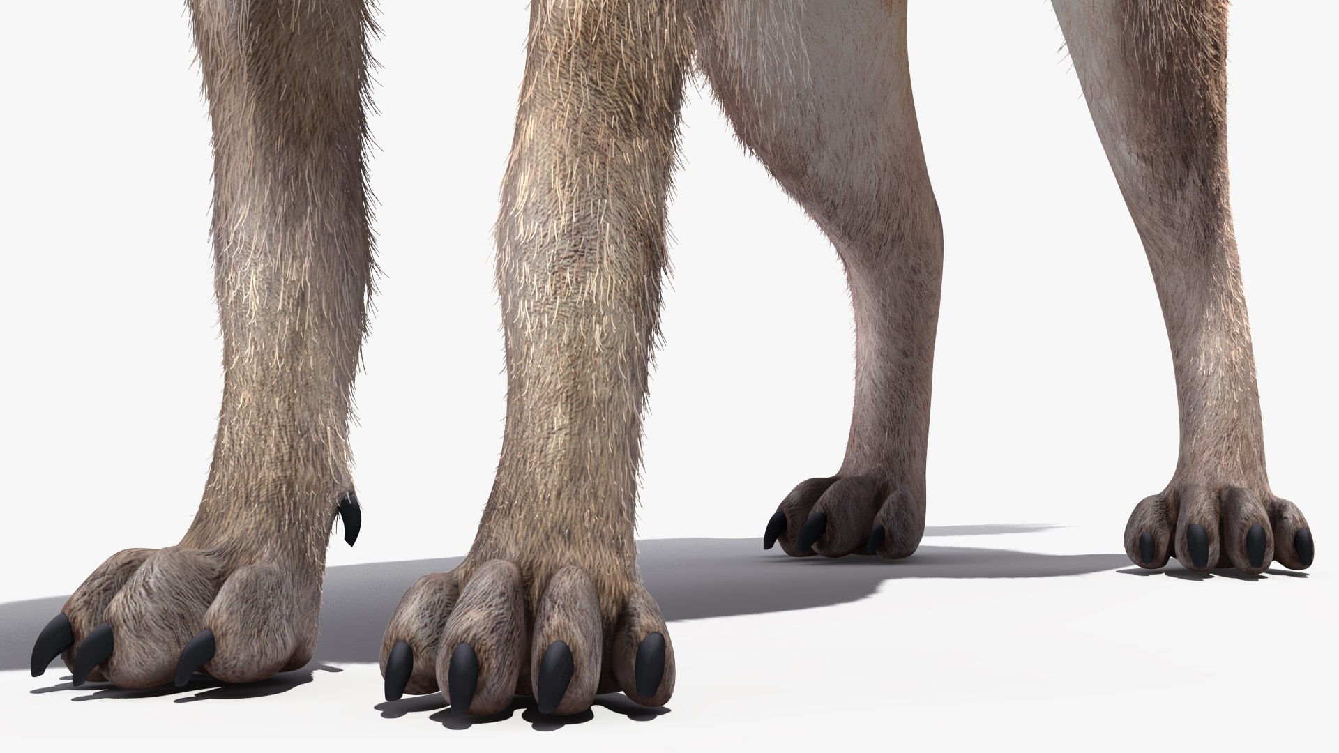 Rigged African Animals Collection 9 3D https://p.turbosquid.com/ts-thumb/jN/u6khqs/Dj/riggedafricananimalscollection93dsmodel020/jpg/1619581766/1920x1080/fit_q87/50f34be3c52f8d9af562e3b827cffb5b37b64fd1/riggedafricananimalscollection93dsmodel020.jpg