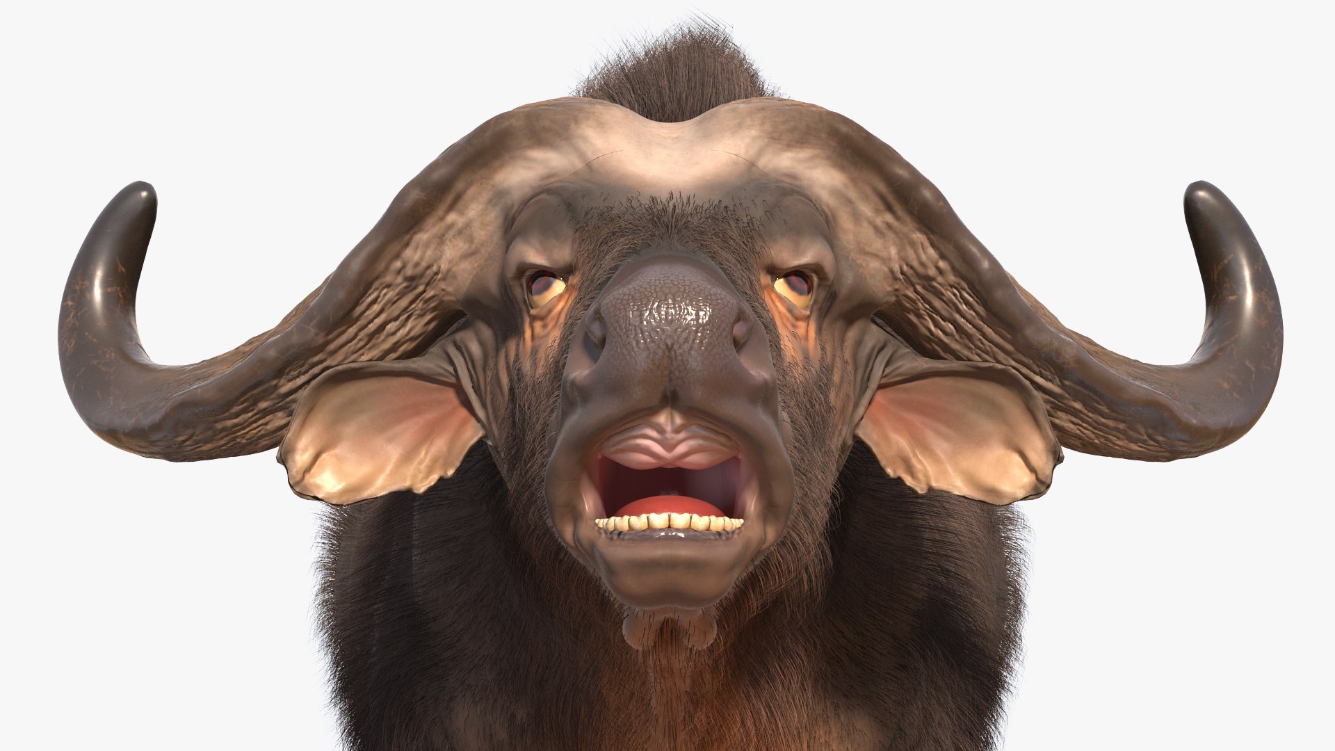 Rigged African Animals Collection 9 3D https://p.turbosquid.com/ts-thumb/jN/u6khqs/Js/riggedafricananimalscollection93dsmodel058/jpg/1619581966/1920x1080/fit_q87/6f679a99c450735a5fb4eb7ab59ec566d283e985/riggedafricananimalscollection93dsmodel058.jpg
