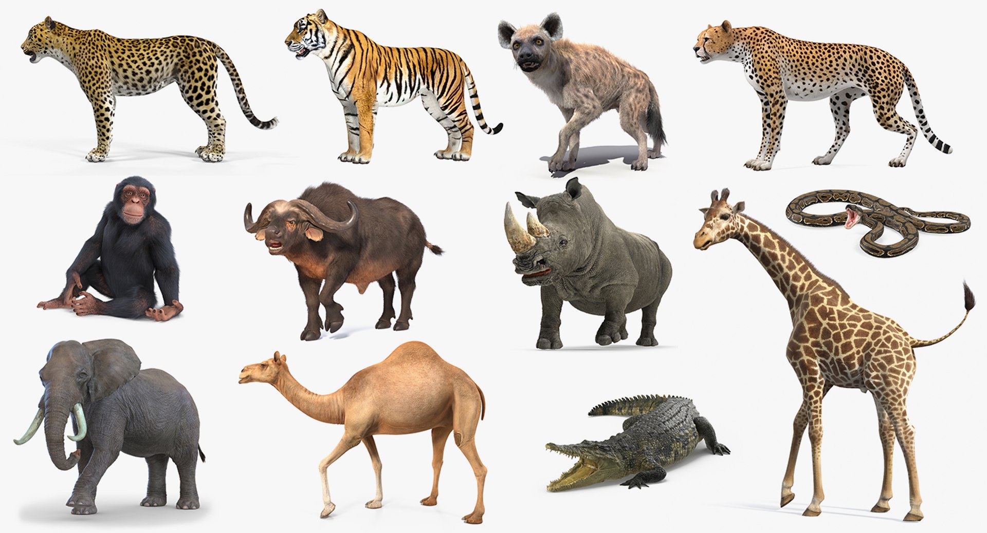 Rigged African Animals Collection 9 3D https://p.turbosquid.com/ts-thumb/jN/u6khqs/Jz/riggedafricananimalscollection93dsmodel001/jpg/1619581670/1920x1080/fit_q87/df332768be8c2d982c6dc570a4506652bfb484e2/riggedafricananimalscollection93dsmodel001.jpg