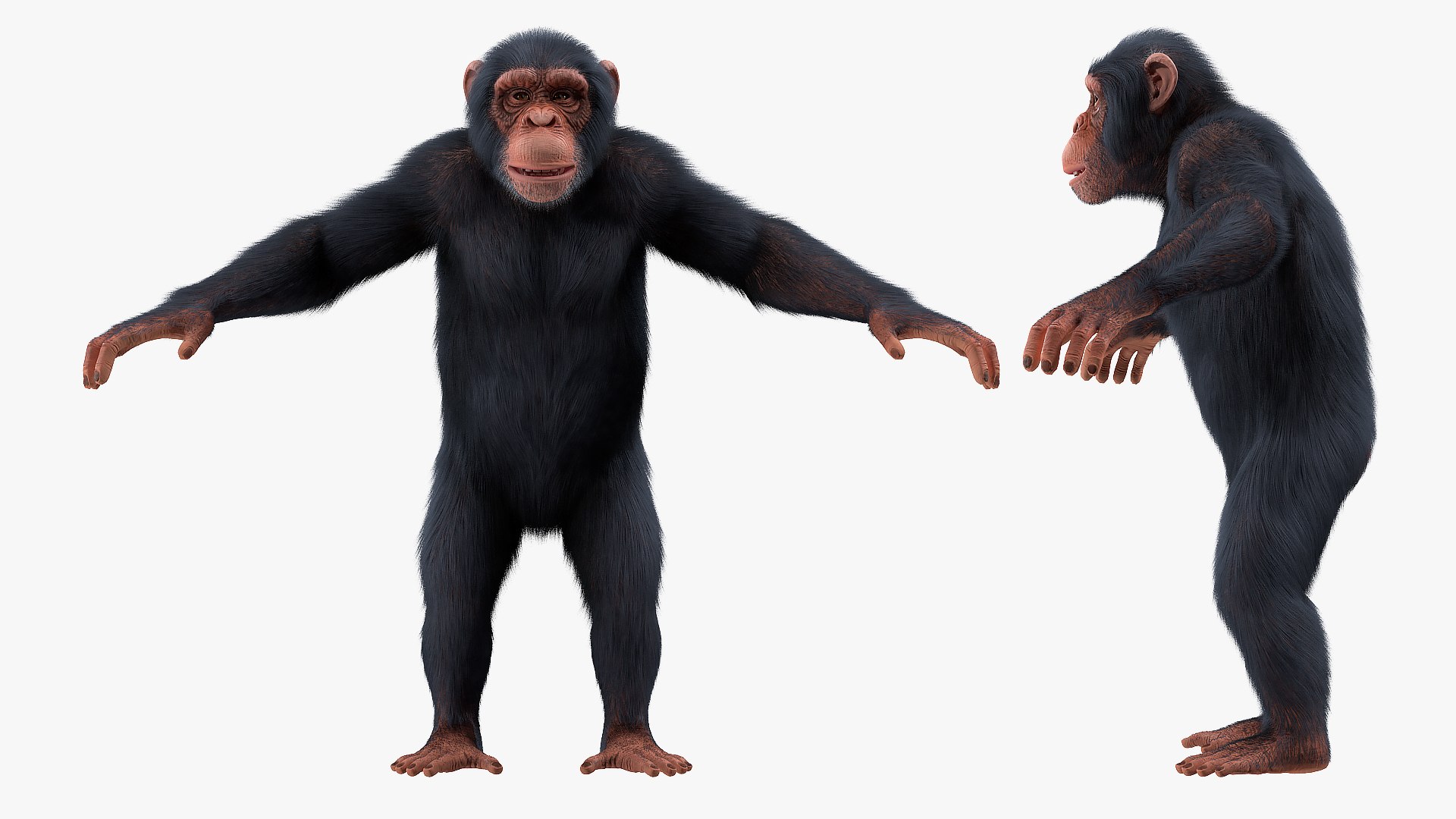 Rigged African Animals Collection 9 3D https://p.turbosquid.com/ts-thumb/jN/u6khqs/XJ/riggedafricananimalscollection93dsmodel065/jpg/1619581999/1920x1080/fit_q87/4250725efdf27dea70345eeab7001d5f945147b0/riggedafricananimalscollection93dsmodel065.jpg