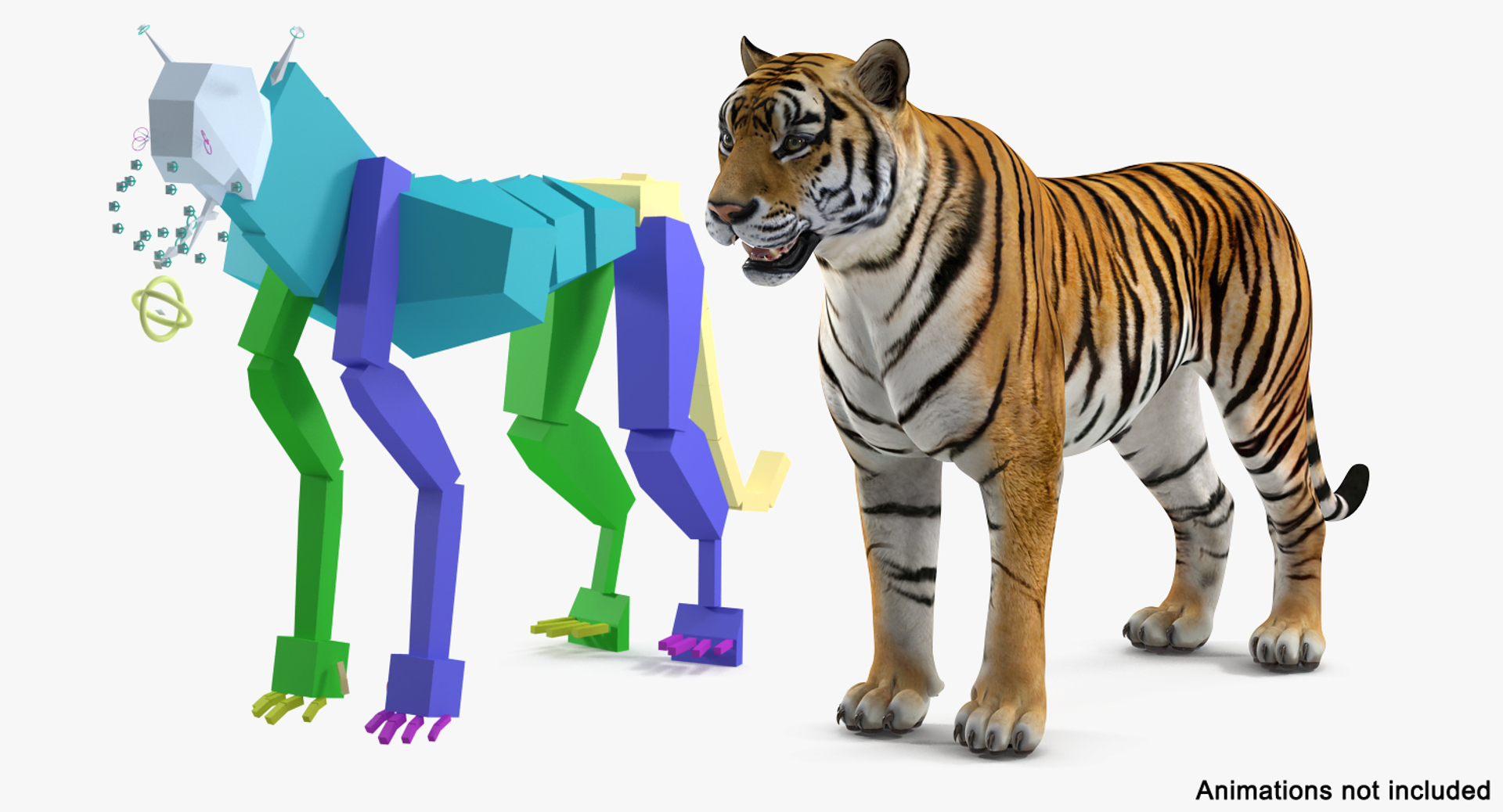 Rigged African Animals Collection 9 3D https://p.turbosquid.com/ts-thumb/jN/u6khqs/Xb/tiger_rigged_vray_364/jpg/1619591664/1920x1080/turn_fit_q99/7803b4820a59e8032a028e0fafedab9e11795bd8/tiger_rigged_vray_364-1.jpg