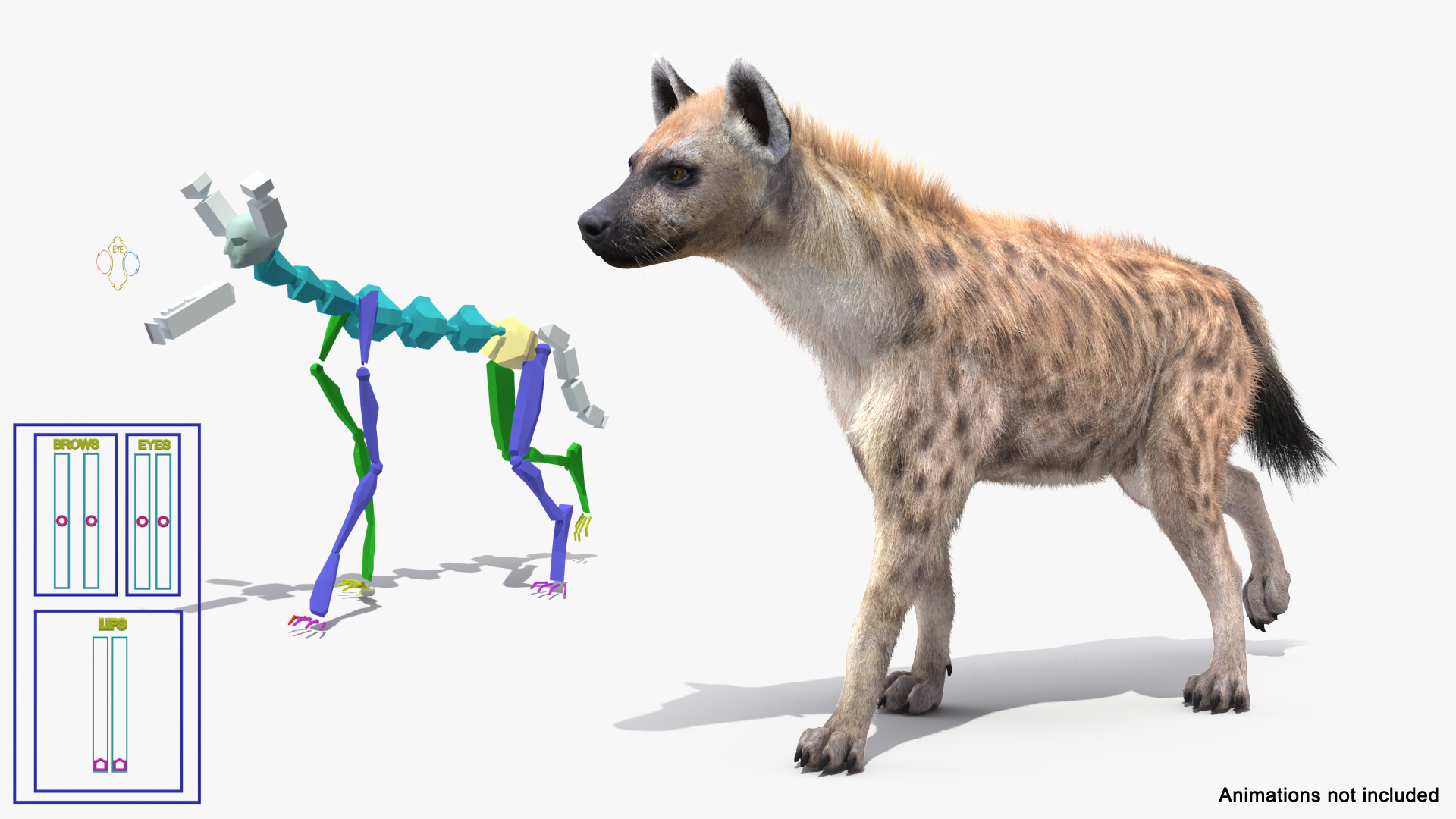 Rigged African Animals Collection 9 3D https://p.turbosquid.com/ts-thumb/jN/u6khqs/bN/hyena_fur_rigged_362/jpg/1619587825/1920x1080/turn_fit_q99/63c64194db4756494844c48a49277a32ff076d5e/hyena_fur_rigged_362-1.jpg