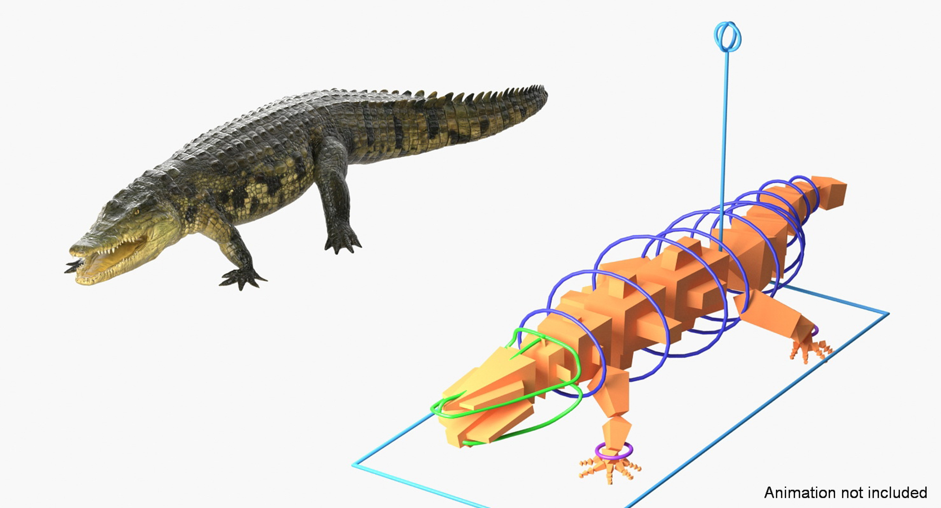 Rigged African Animals Collection 9 3D https://p.turbosquid.com/ts-thumb/jN/u6khqs/eC/crocodile_rigged_363/jpg/1619590515/1920x1080/turn_fit_q99/9aacdb4114406628e5d113f220caa18aca0314bc/crocodile_rigged_363-1.jpg