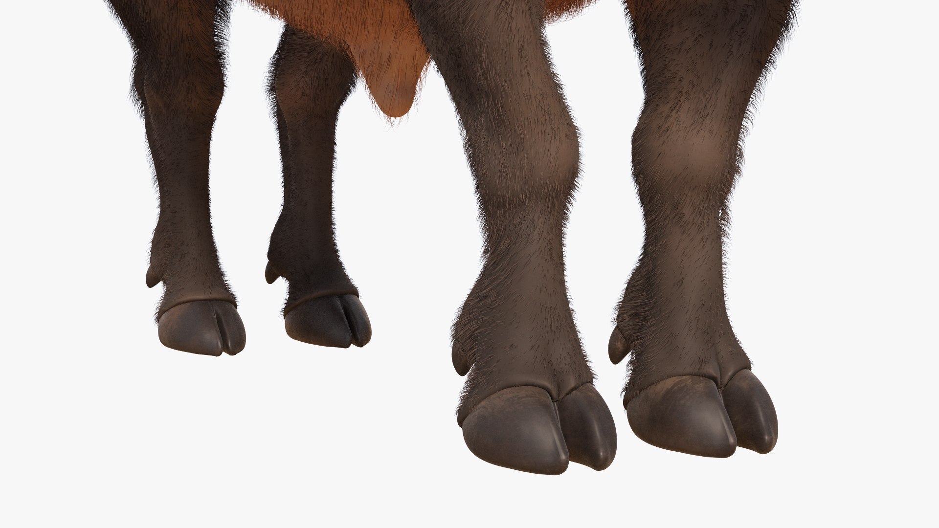 Rigged African Animals Collection 9 3D https://p.turbosquid.com/ts-thumb/jN/u6khqs/mM/riggedafricananimalscollection93dsmodel059/jpg/1619581971/1920x1080/fit_q87/6101411dcb509cdb31d484715813983ee62e9ded/riggedafricananimalscollection93dsmodel059.jpg