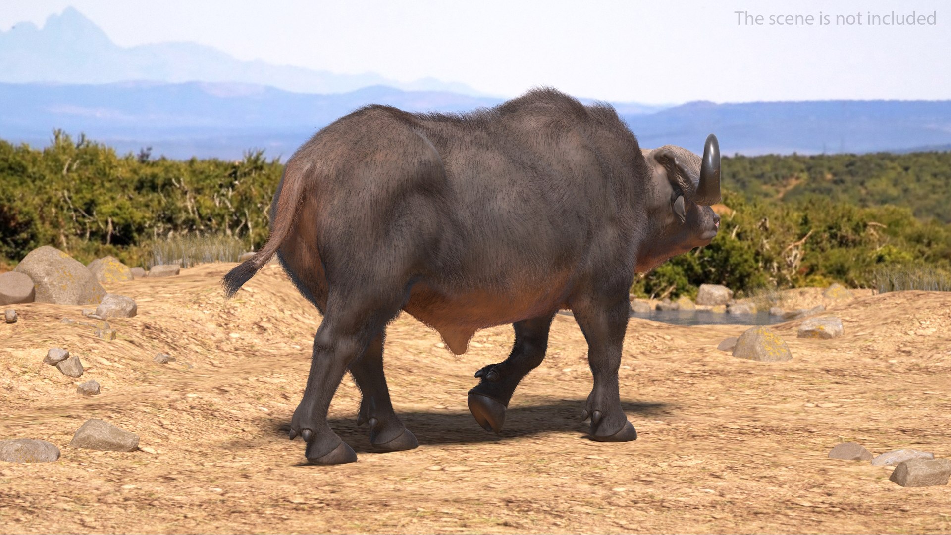Rigged African Animals Collection 9 3D https://p.turbosquid.com/ts-thumb/jN/u6khqs/sc/riggedafricananimalscollection93dsmodel051/jpg/1619581928/1920x1080/fit_q87/e0f88284aed3eb98a79aed85f82a5ced6b0cfad9/riggedafricananimalscollection93dsmodel051.jpg