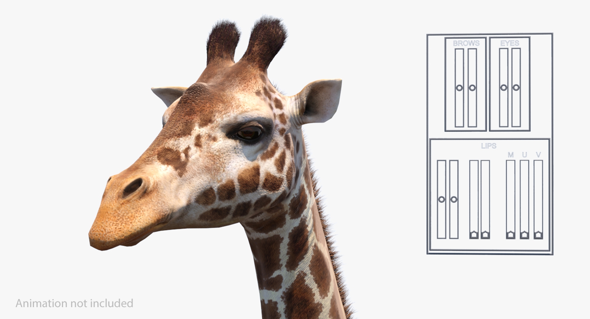 Rigged African Animals Collection 9 3D https://p.turbosquid.com/ts-thumb/jN/u6khqs/vt/african_giraffe_fur_rigged_363/jpg/1619588549/1920x1080/turn_fit_q99/d320bd4d86af941f04350442d80baca98edaeebf/african_giraffe_fur_rigged_363-1.jpg
