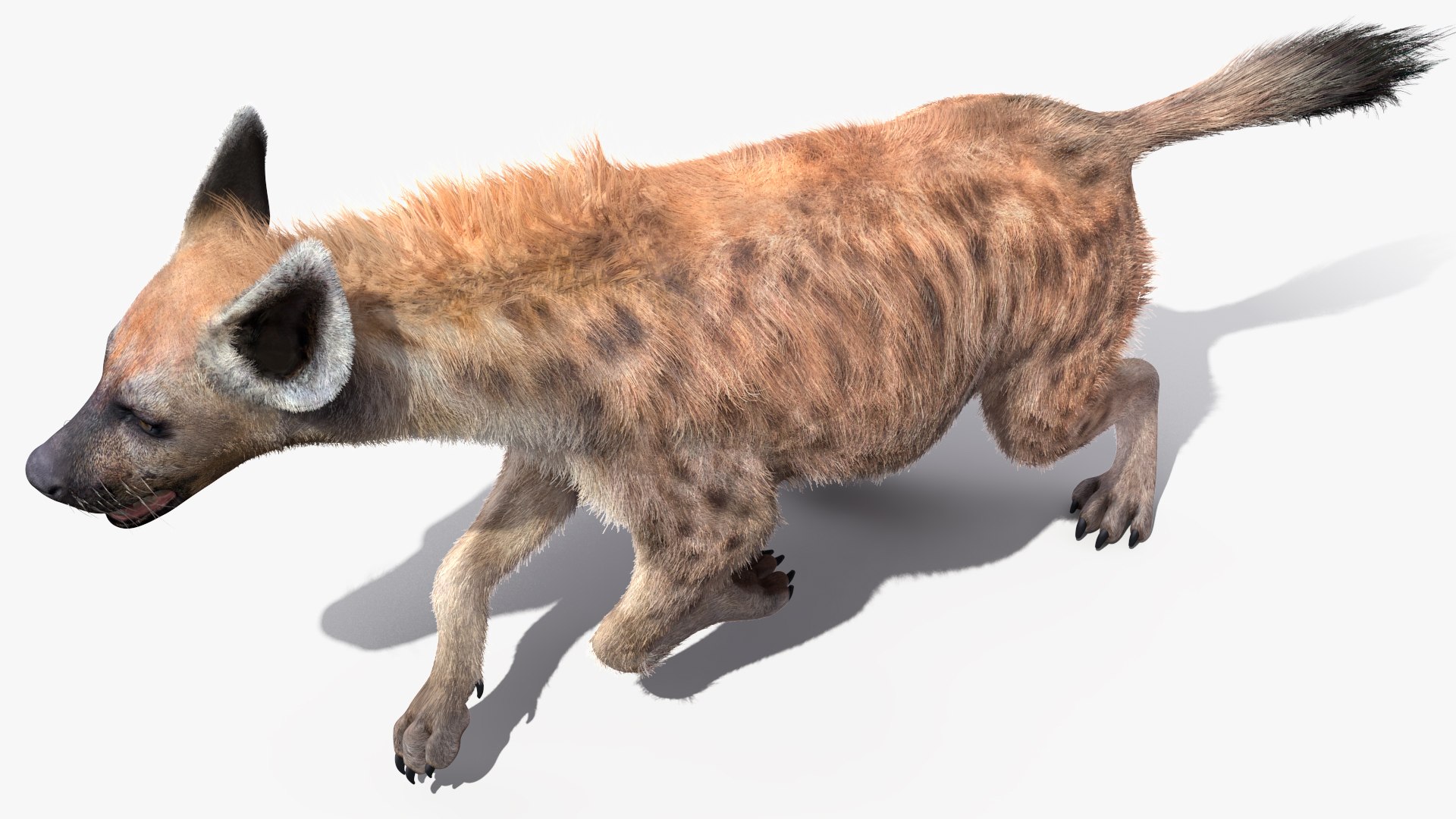 Rigged African Animals Collection 9 3D https://p.turbosquid.com/ts-thumb/jN/u6khqs/xU/riggedafricananimalscollection93dsmodel011/jpg/1619581721/1920x1080/fit_q87/7bd98192bc3df4ab5ecfb700cccbb880d3e6ebd6/riggedafricananimalscollection93dsmodel011.jpg