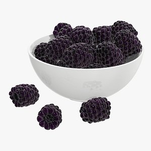 3D blackberry berry bowl model