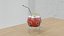 Yerba Mate