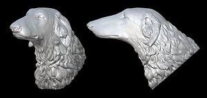 Russian Greyhound head