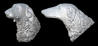 Russian Greyhound head