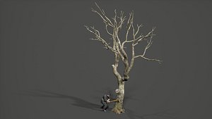 lumberjack Character model