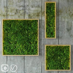 Moss modules