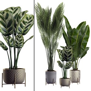 potted plants set 2 3D model