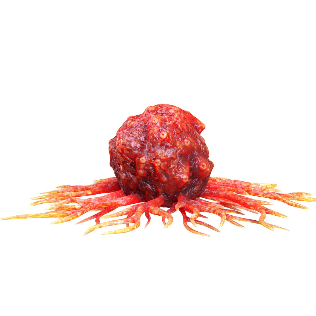 Cancer Cell 3D model https://p.turbosquid.com/ts-thumb/jO/UT3Mdm/Mm/5/png/1640624359/1920x1080/fit_q87/a7559904762a9878e5fa0290fbecfc89638824b5/5.jpg