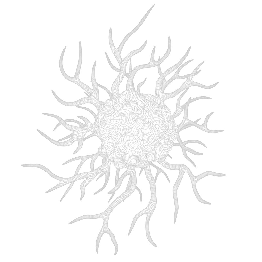 Cancer Cell 3D model https://p.turbosquid.com/ts-thumb/jO/UT3Mdm/ND/render_wireframe_002/png/1640624386/1920x1080/fit_q87/d97bd074aaf92681a53c4f9a9bf59cf528285fa3/render_wireframe_002.jpg