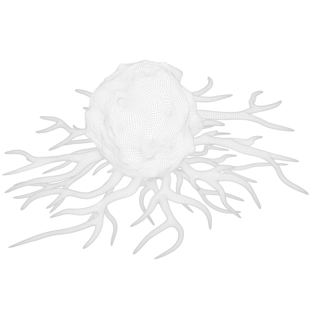 Cancer Cell 3D model https://p.turbosquid.com/ts-thumb/jO/UT3Mdm/g4/render_wireframe/png/1640624388/1920x1080/fit_q87/14301c000adb7ff4d13e3ddbdd661d2b453266ab/render_wireframe.jpg