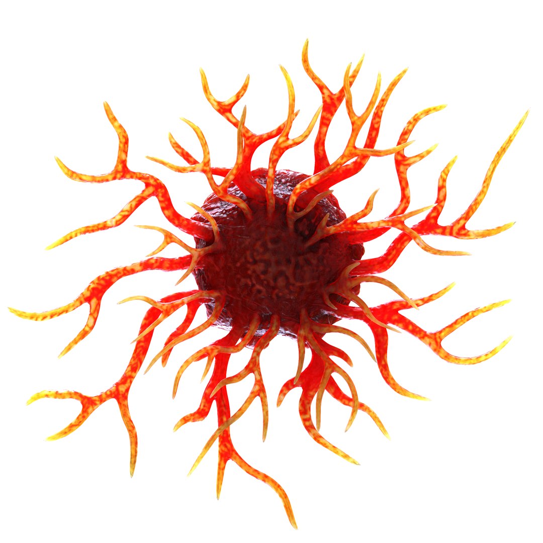 Cancer Cell 3D model https://p.turbosquid.com/ts-thumb/jO/UT3Mdm/u6/render/png/1640624364/1920x1080/fit_q87/c2e0a71e682d71a28dbe70931621bf82e2071d8b/render.jpg