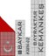 Baykar Kemankes x2 Cruise Missiles Package PBR