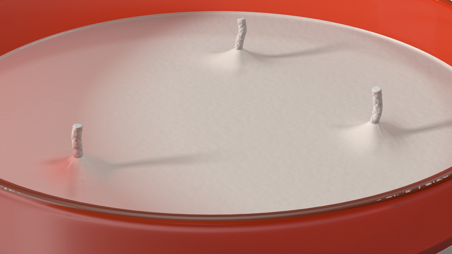 Scented Candle Red with 3 Wicks 3D https://p.turbosquid.com/ts-thumb/jO/dvZc3L/0d/scentedcandleredwith3wicks3dsmodel014/jpg/1713266523/1920x1080/fit_q87/154b06dfb281ca3bc71997185d4691d1caa86699/scentedcandleredwith3wicks3dsmodel014.jpg