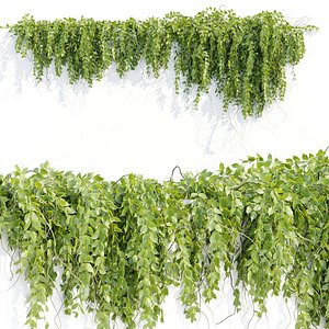 3D Hanging Wall Plants N43304