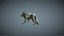 Wilk Model 3D Low poly