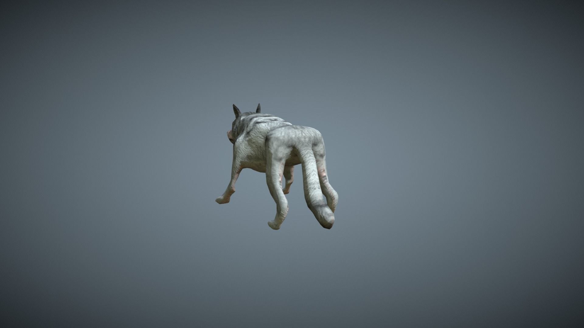 3D wolf low-poly https://p.turbosquid.com/ts-thumb/jO/ubvDEW/hGlZiLAZ/w7/jpg/1596100658/1920x1080/fit_q87/3f3b510f65d0ac908711f708e41cb67d231e220e/w7.jpg