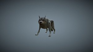 Wolf 3D Model Low poly