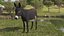 Burro de trabalho em pé, marrom escuro