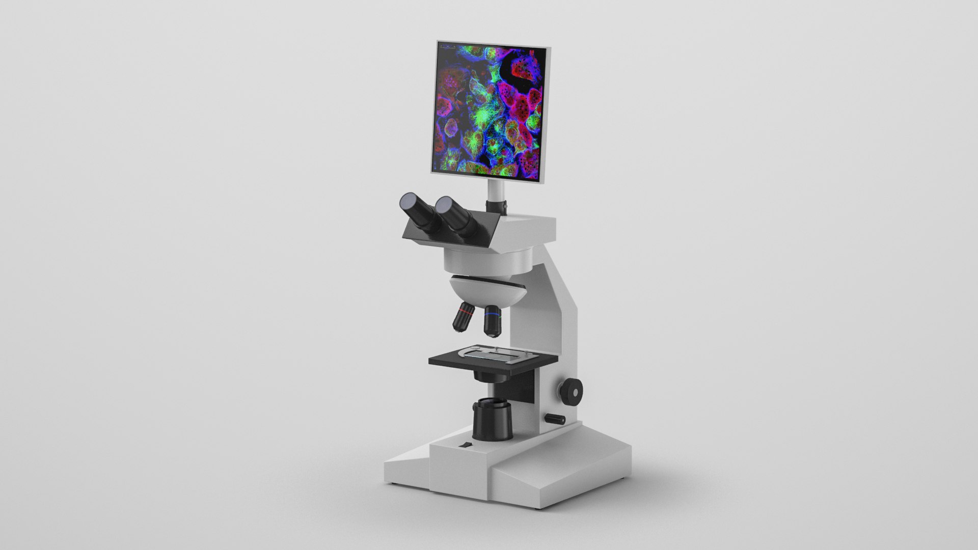 School Interior Collection model https://p.turbosquid.com/ts-thumb/jP/8E3VeA/qo/screenmicroscope2/jpg/1634296503/1920x1080/fit_q87/4d0b5e42623debc97e5fb4b9d0316dd21ddf8eb7/screenmicroscope2.jpg