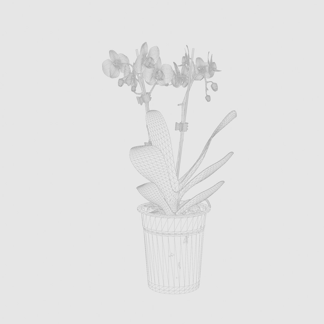 3D Collection Of 10 Flowering Plants - TurboSquid 2253018