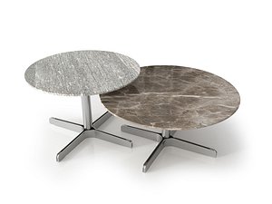 DS-343-61  DS-343-62 Coffee Tables 3D