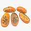 Mitochondria