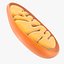 Mitochondria