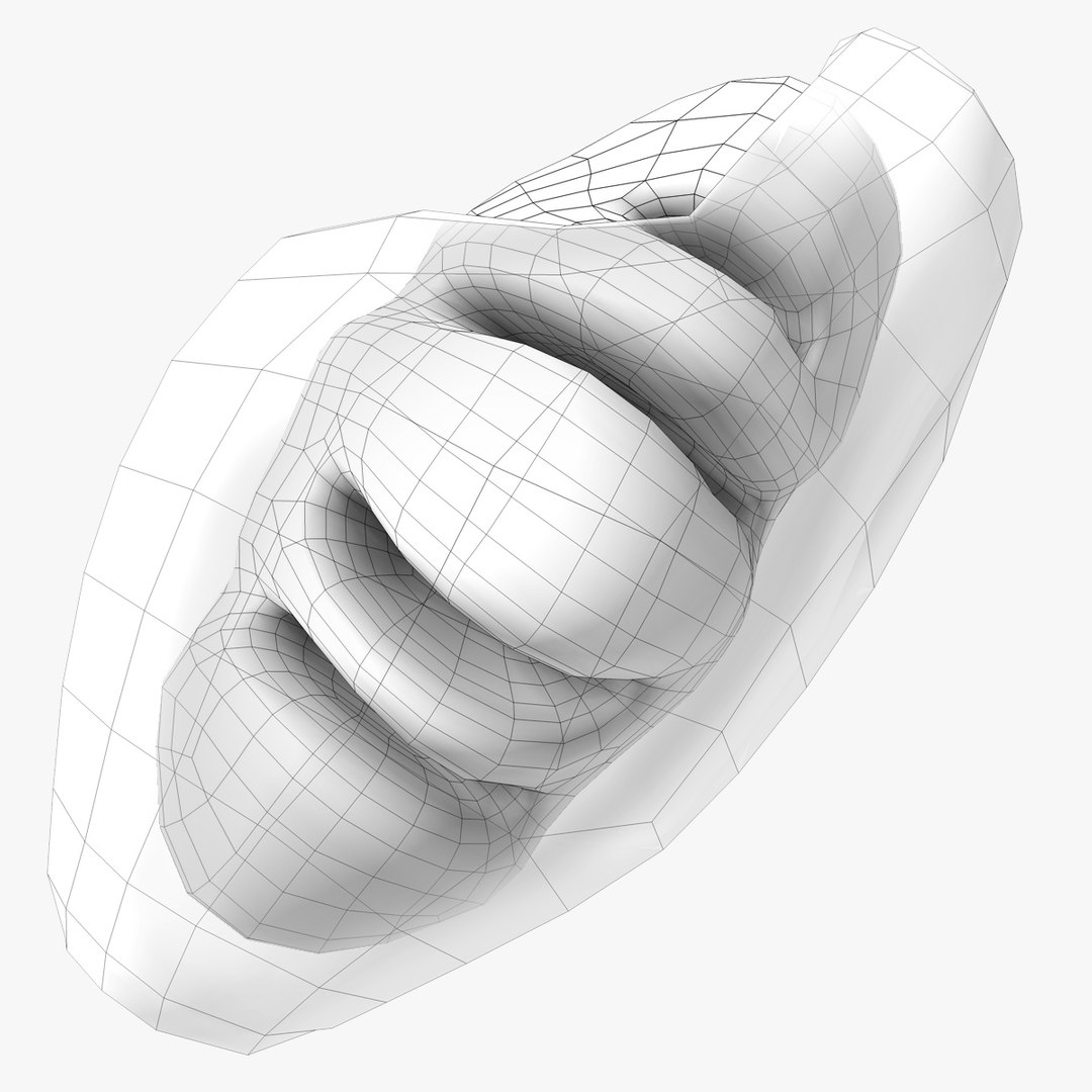 mitochondria dna 3d model https://p.turbosquid.com/ts-thumb/jP/O2e4Cb/HGVAC83b/mitochondrian__15/jpg/1509275019/1920x1080/fit_q87/e5df678ff8e3c51e6d92410c5e017f1bd4b9cf92/mitochondrian__15.jpg