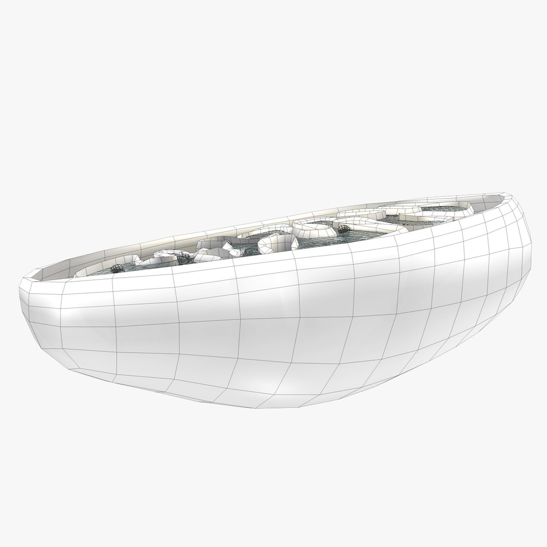 mitochondria dna 3d model https://p.turbosquid.com/ts-thumb/jP/O2e4Cb/vhiqHdFj/mitochondrian__07/jpg/1509275019/1920x1080/fit_q87/aebe9839866aff49b2d6ec92c9fe5ace86da624a/mitochondrian__07.jpg