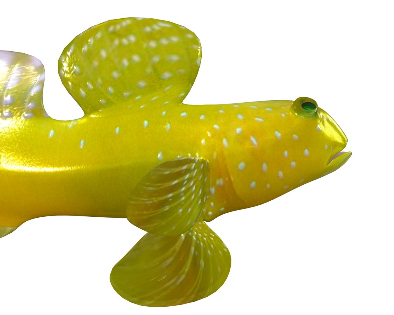 goby fish 3D Models to Print - yeggi