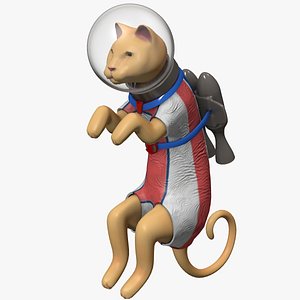 Rocket Cat 3D model