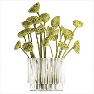 A beautiful bouquet of dried green lotus branches vase 3D model