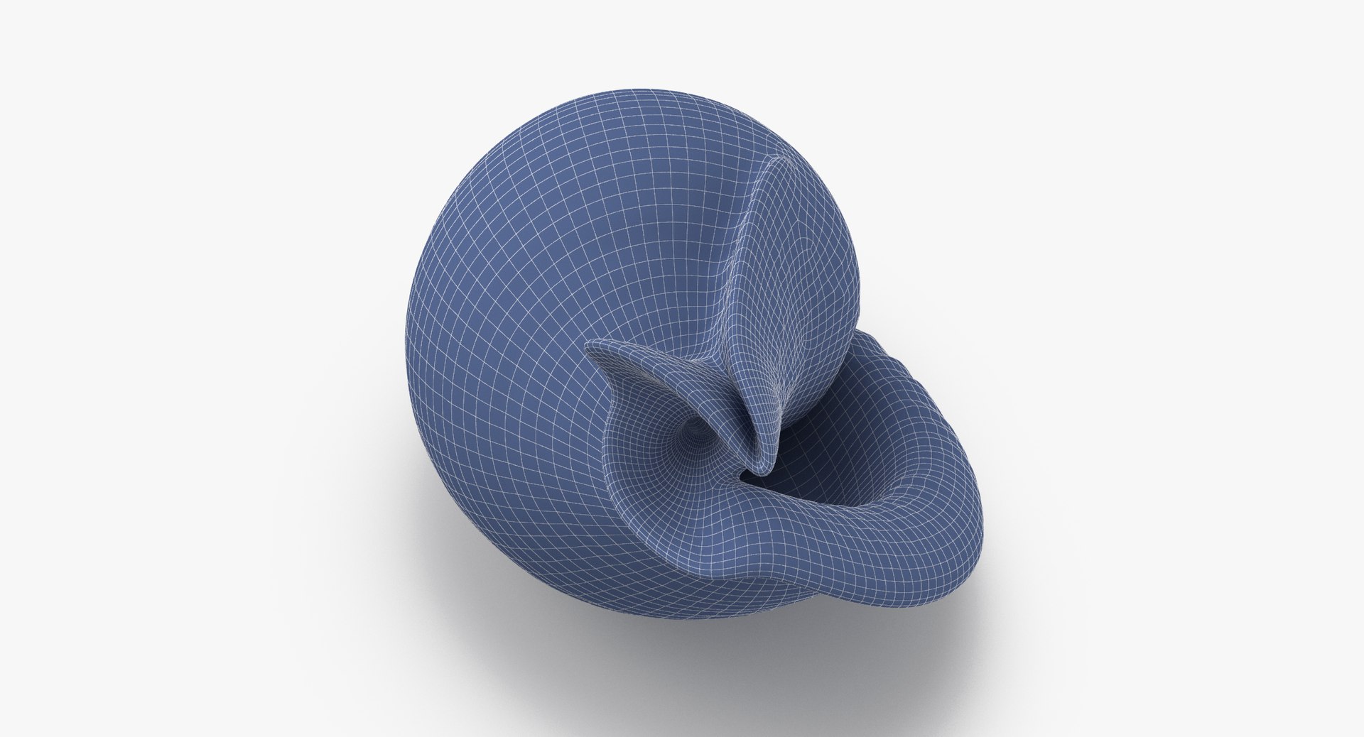 3D sea shells oyster model https://p.turbosquid.com/ts-thumb/jP/VCW1wS/CQezHa6M/scotch_bonnet_shell_002_wireframe_0004/jpg/1499175994/1920x1080/fit_q87/0c6688782ac1f31832a757636459ac3a9bbf1d46/scotch_bonnet_shell_002_wireframe_0004.jpg