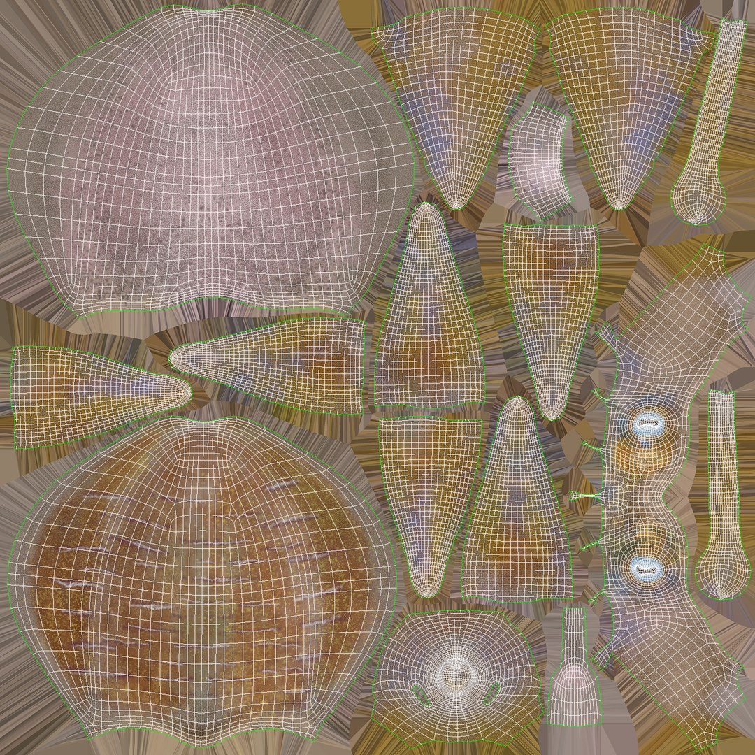 3D sea shells oyster model https://p.turbosquid.com/ts-thumb/jP/VCW1wS/NfAtGd3a/squid_rig_uv/jpg/1484661340/1920x1080/fit_q87/203a1f002fdfea671d96c21ef0ff8fa68da45aaf/squid_rig_uv.jpg