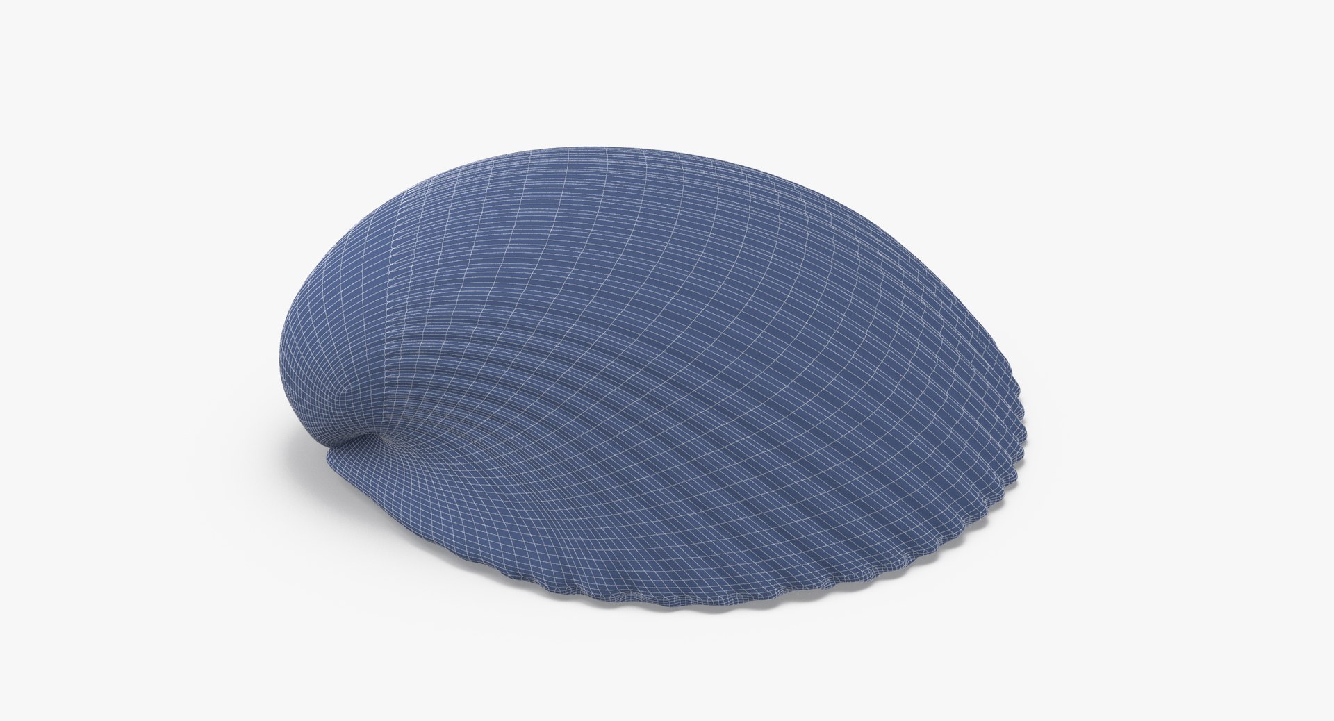 3D sea shells oyster model https://p.turbosquid.com/ts-thumb/jP/VCW1wS/abd7gILJ/heart_cockle_shell_002_wireframe_0004/jpg/1499169425/1920x1080/fit_q87/0aff66b67fbdaa67f573c5ce99227604e6a8c39a/heart_cockle_shell_002_wireframe_0004.jpg