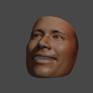 Dwayne Johnson The Rock 3D Realstic model with 4k texture size 3D model  animated rigged