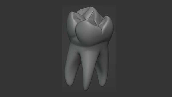 Human Tooth3D模型 - TurboSquid 1911188