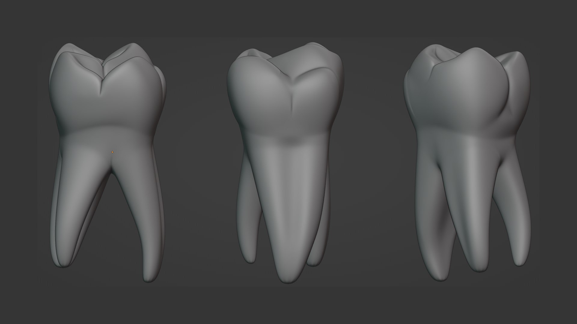 Maxillary First Molar 3D Model - TurboSquid 1911188