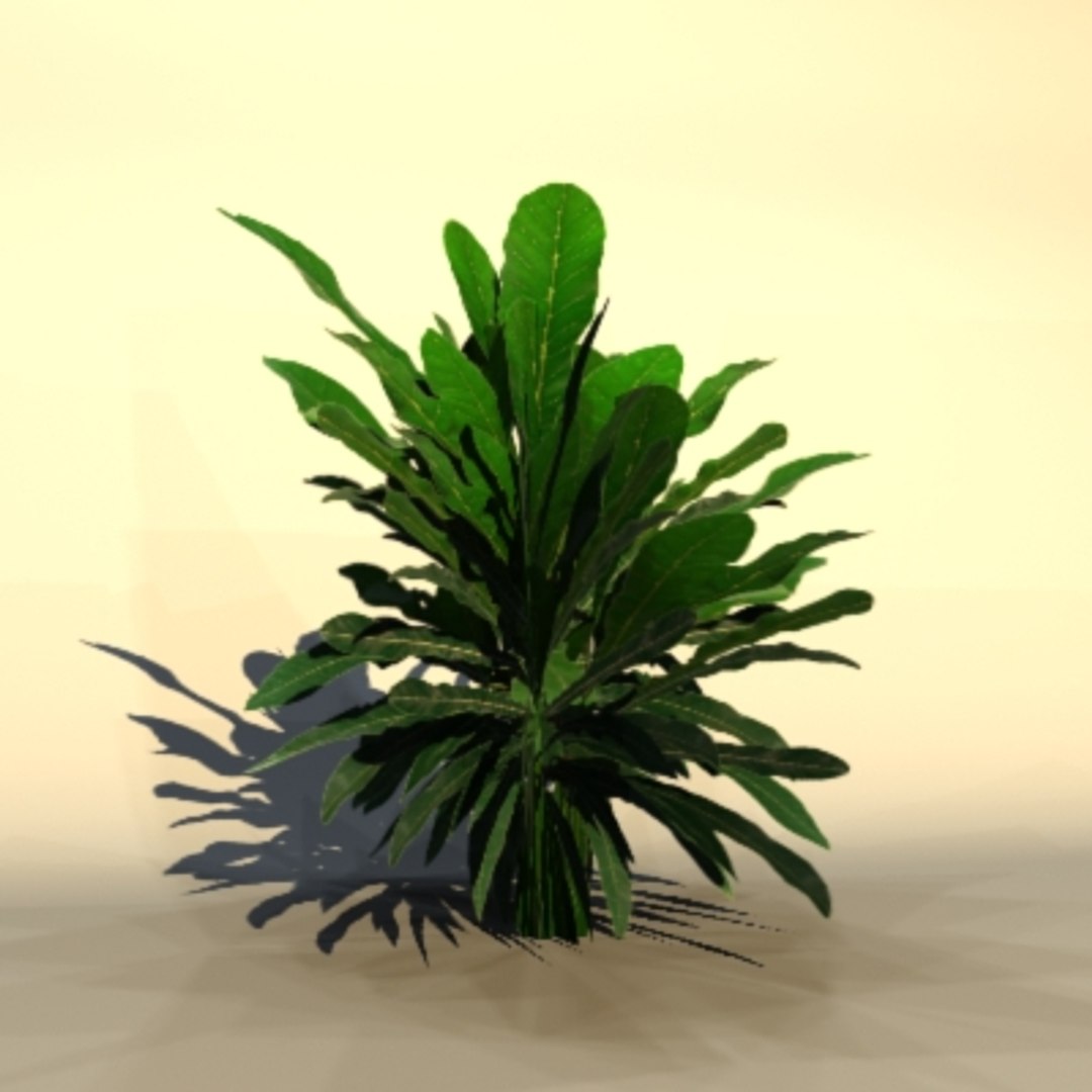 3d pc ps2 model